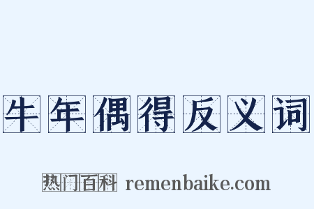 牛年偶得反义词是什么意思的图片